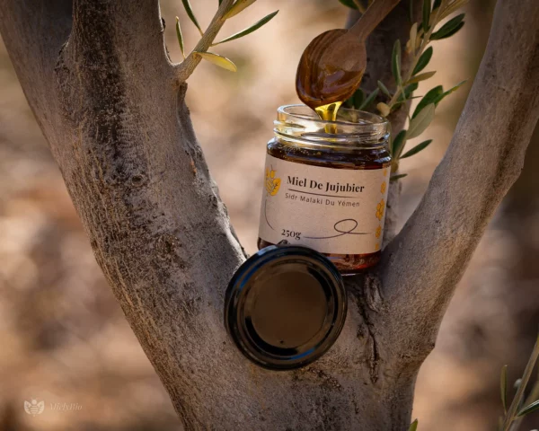 miel-de-jujubier-royal-la-purete-du-sidr-malaki Pot de miel de jujubier Sidr Malaki du Yémen, capturé en pleine nature avec une cuillère en bois versant le nectar.
