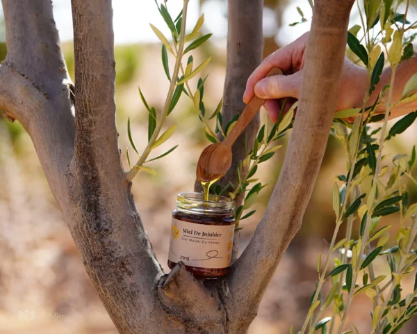 miel-de-jujubier-du-yemen-sidr-maliki-250g Pot de miel de jujubier Sidr Malaki du Yémen, dans un arbre, avec une cuillère en bois.