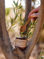 Pot de miel de jujubier Sidr Malaki du Yémen, dans un arbre, avec une cuillère en bois.