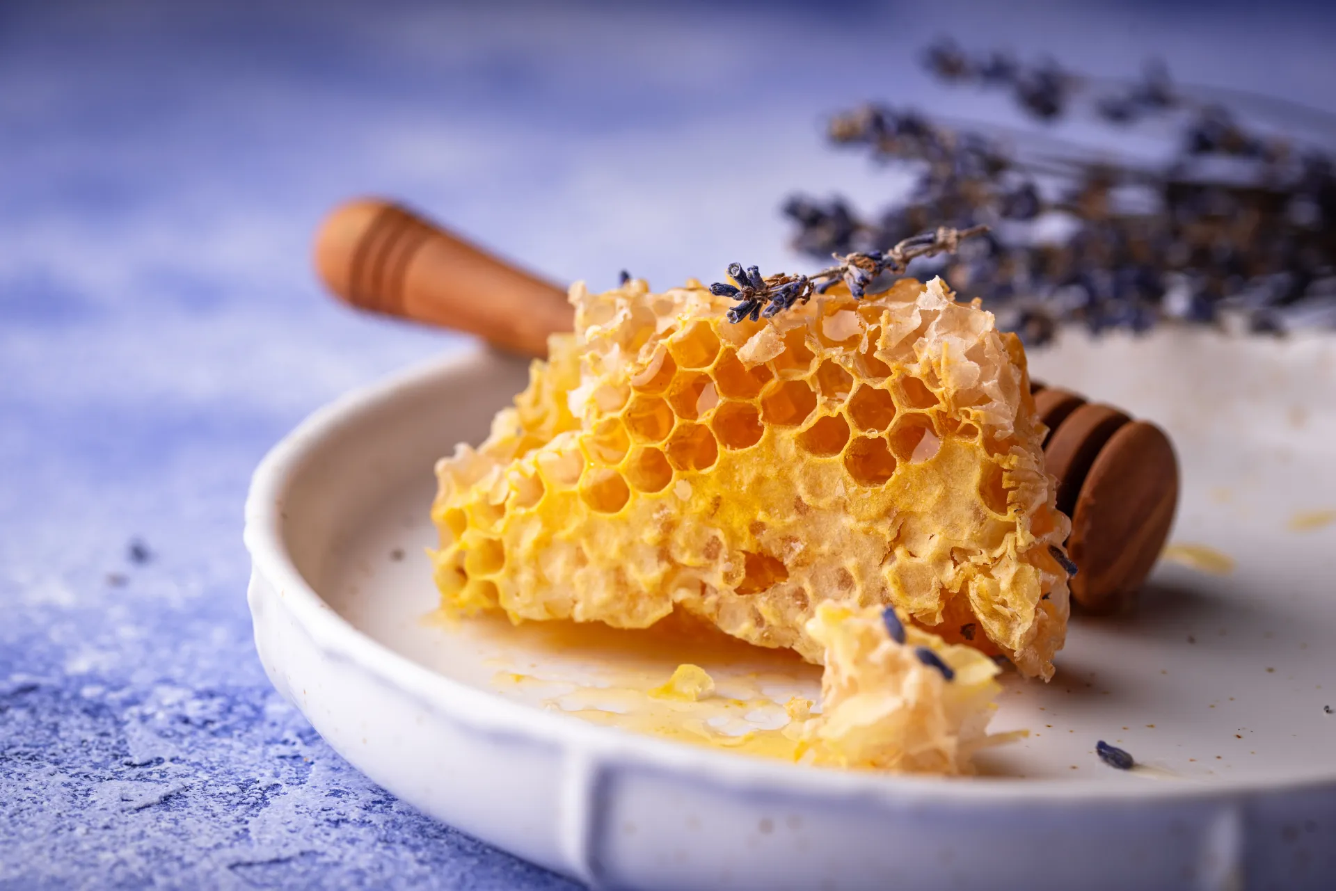 Miel De Lavande Du Maroc Coulant D'Un Rayon De Miel Frais Sur Une Cuillère En Bois, Entouré De Fleurs De Lavande Sauvage Du Moyen Atlas